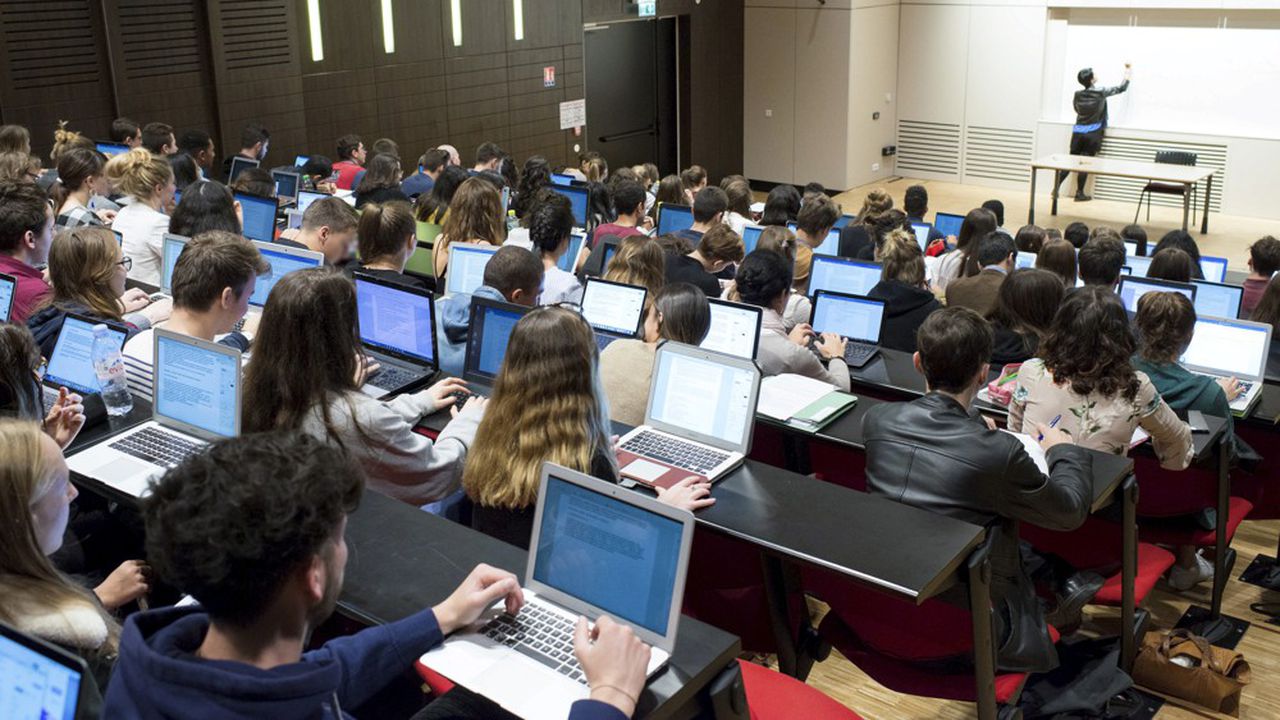 L'actu perchée - Les étudiants