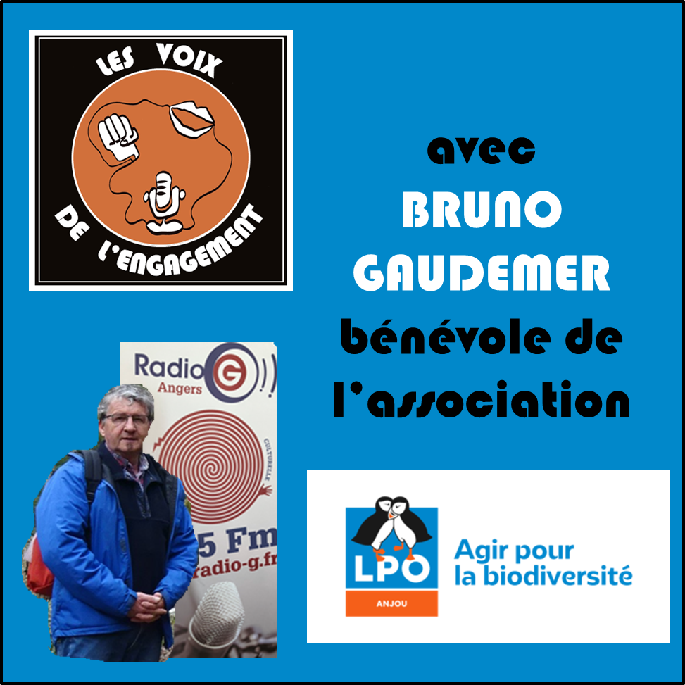 Les voix de l'engagement du 22 05 2024