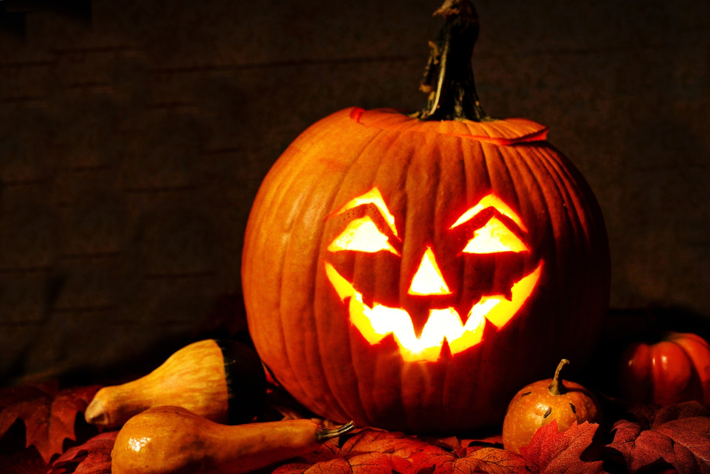 L'actu perchée - Halloween