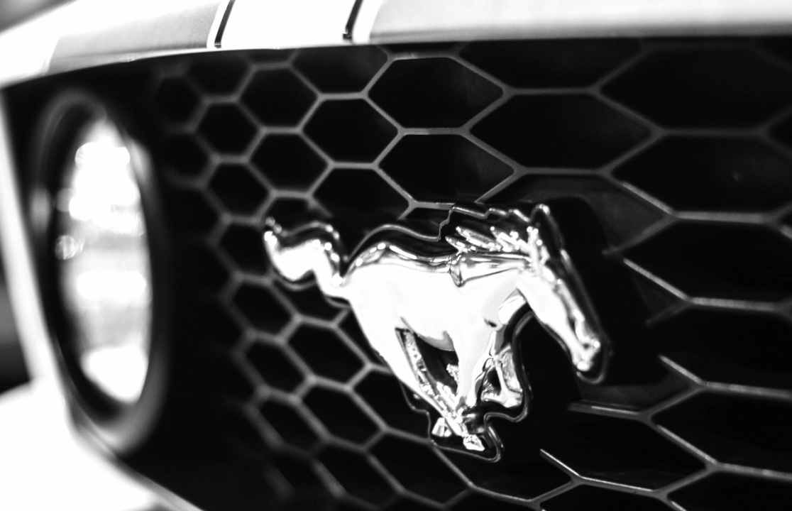 Le Jingle de Noemie - Mustang