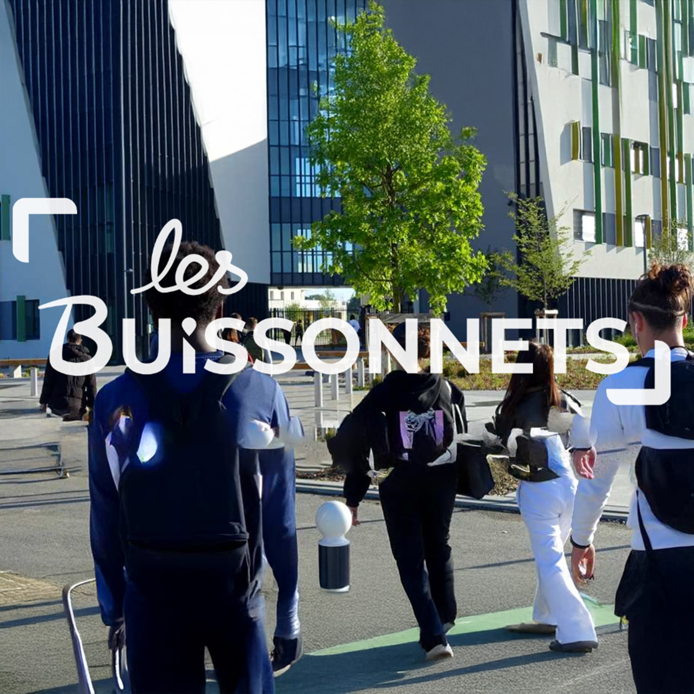 Les Buissonnets