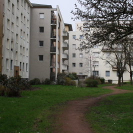 Penser Local - Saint-Exupéry
