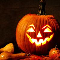L'actu perchée - Halloween