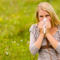 L'actu perchée - L'allergie au pollen
