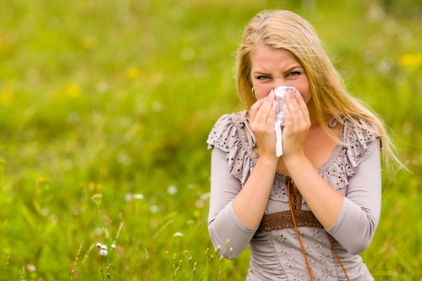 L'actu perchée - L'allergie au pollen
